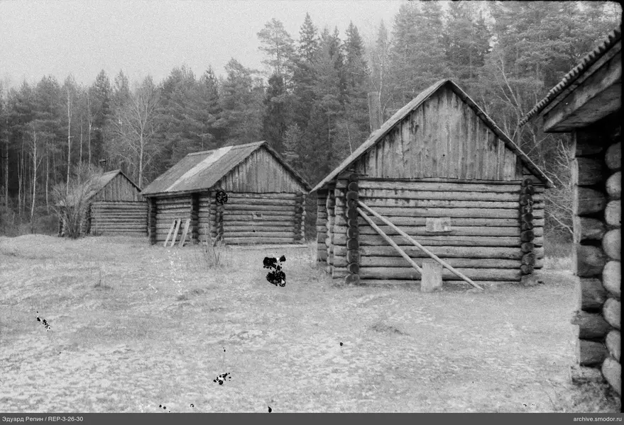 Ansicht von Holzhäusern und Wald