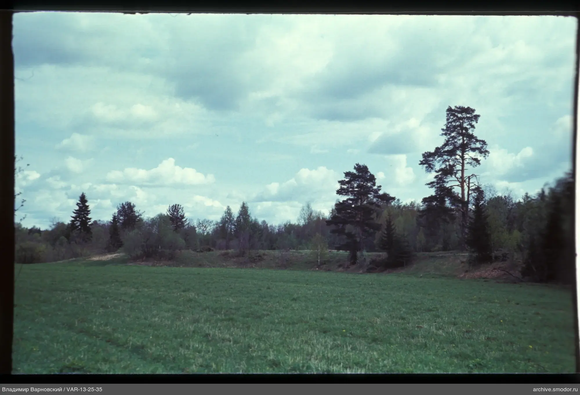 Landschaft mit Feld und Bäumen