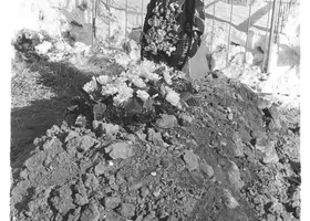 VAR-7-10-6