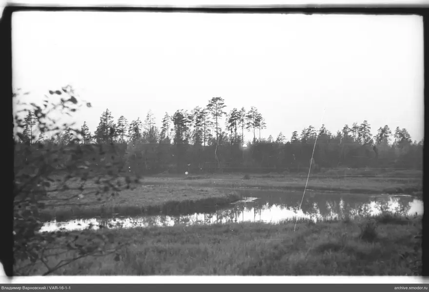 Landschaft mit Wasser und Wald