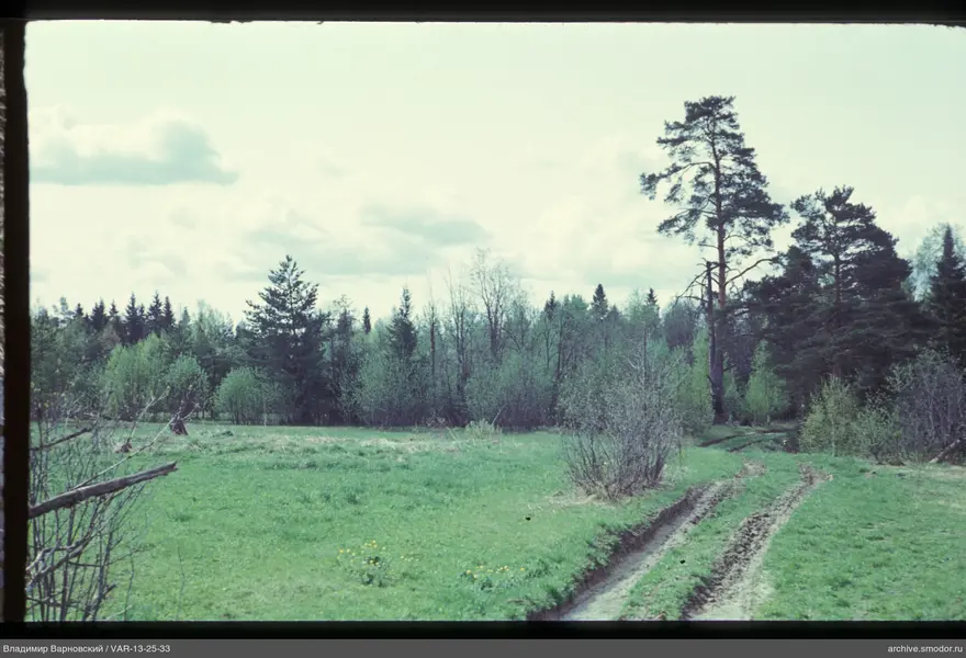 Пейзаж с дорогой, деревьями и лесом
