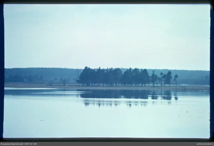 Water surface with tree reflection