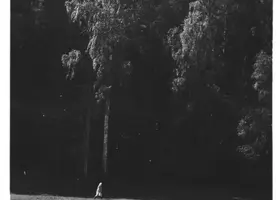 REP-6-11-7