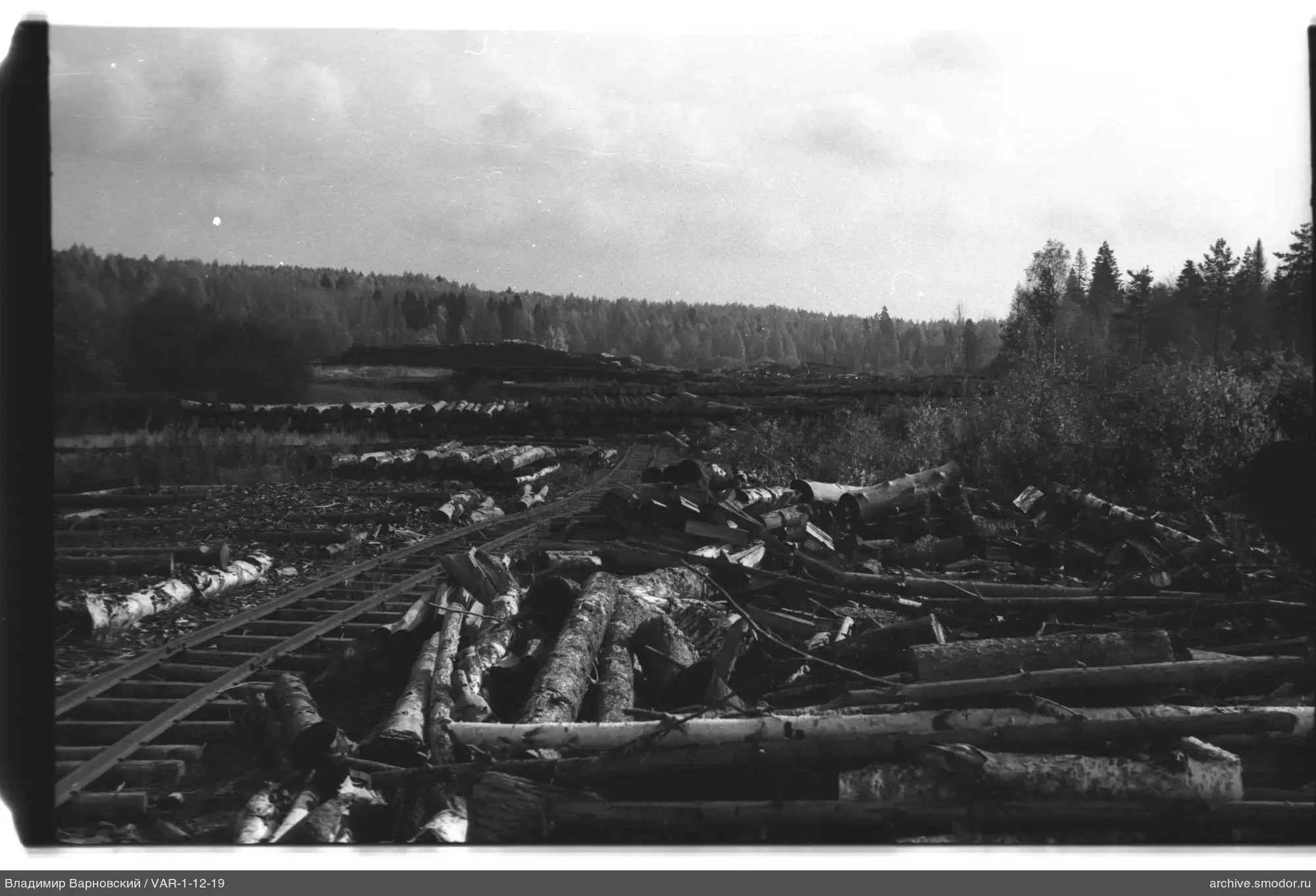 Holzstämme und Schmalspureisenbahn