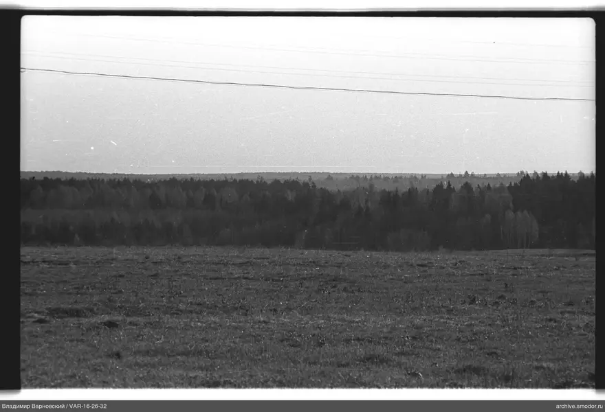Ansicht von Feld und Wald