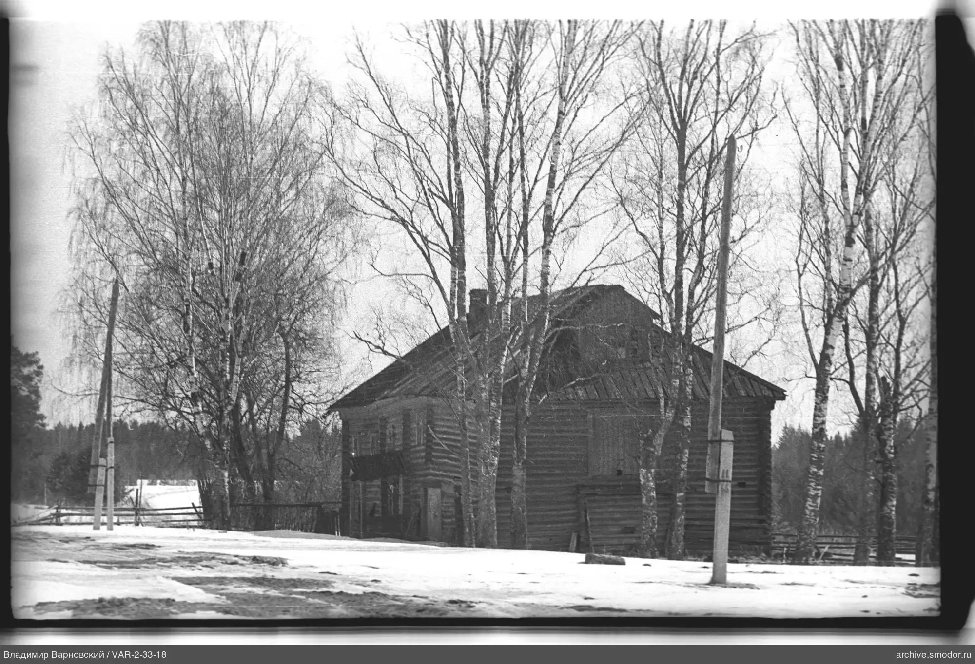 Holzhaus mit Birken und Zaun