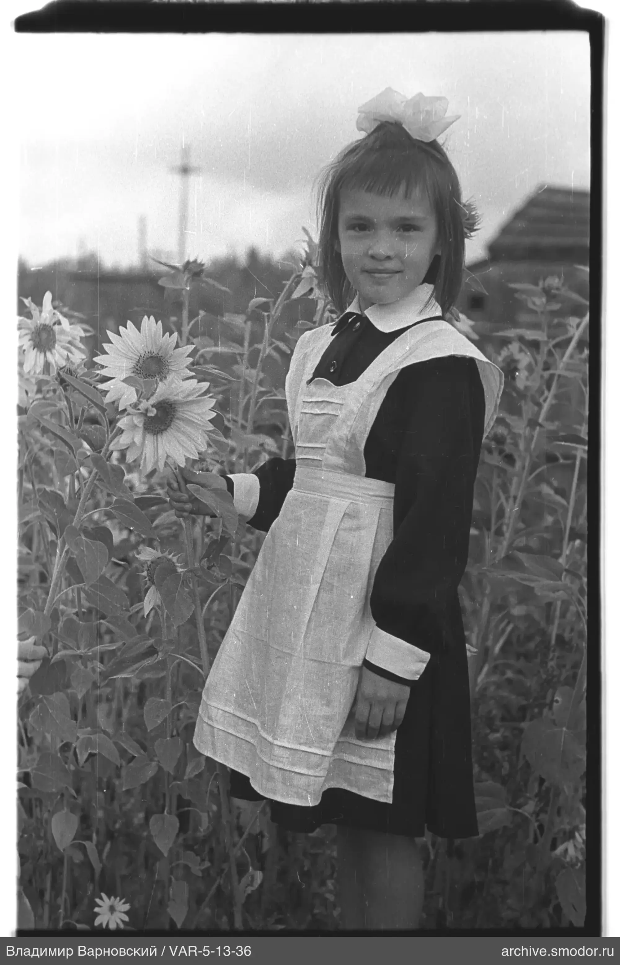 Mädchen zwischen Sonnenblumen
