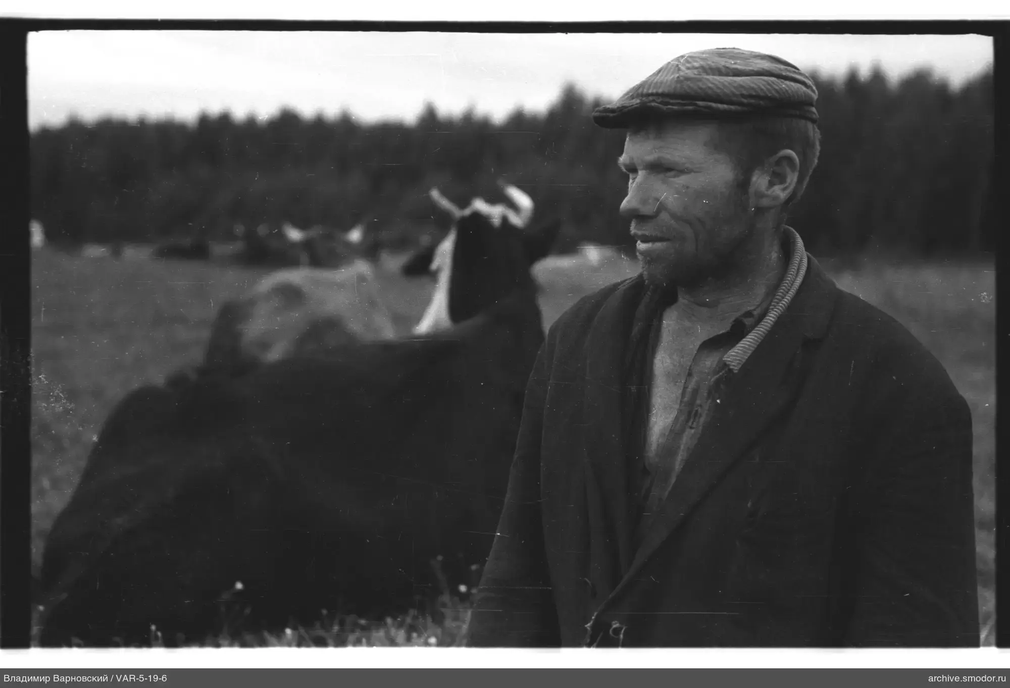 Porträt eines Mannes mit Seil im Feld