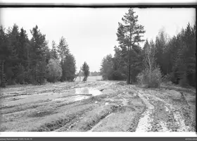 VAR-15-44-15