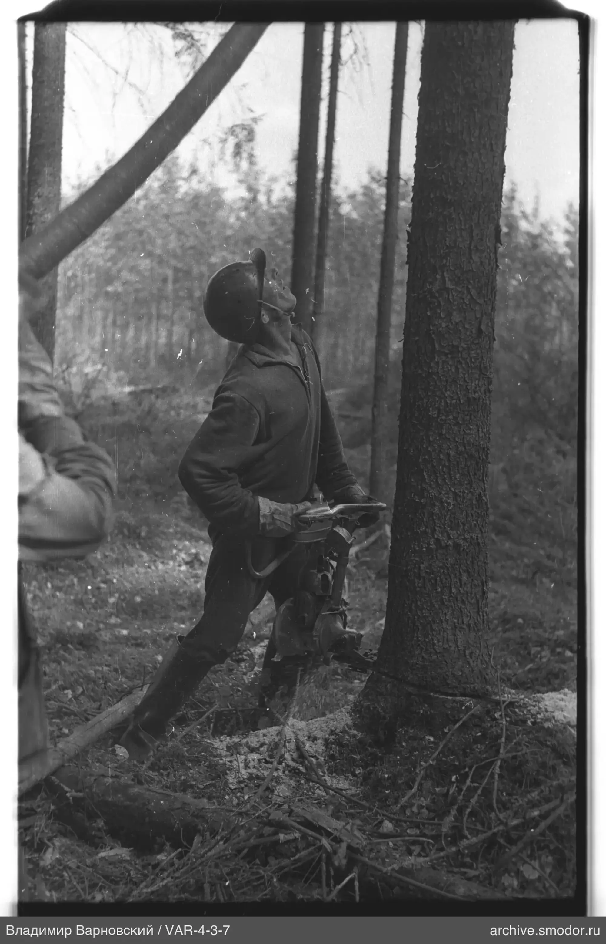 Mann mit Kettensäge im Wald