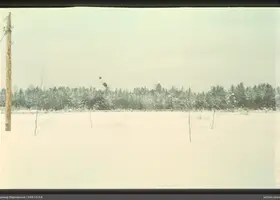 VAR-13-3-8