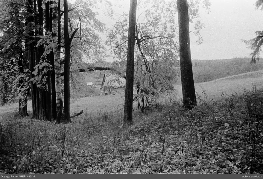 Bäume und Holzgebäude in Landschaft