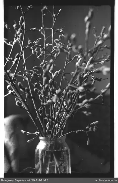 Glass jar with willow branches