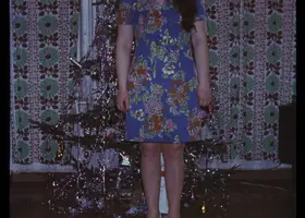 VAR-13-27-3