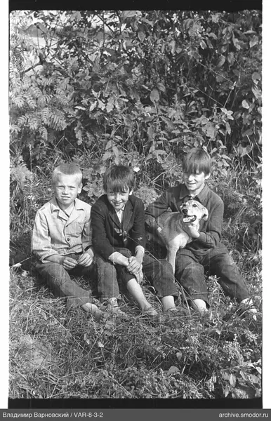 Drei Jungen mit Hund auf dem Gras