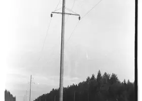 VAR-5-19-3
