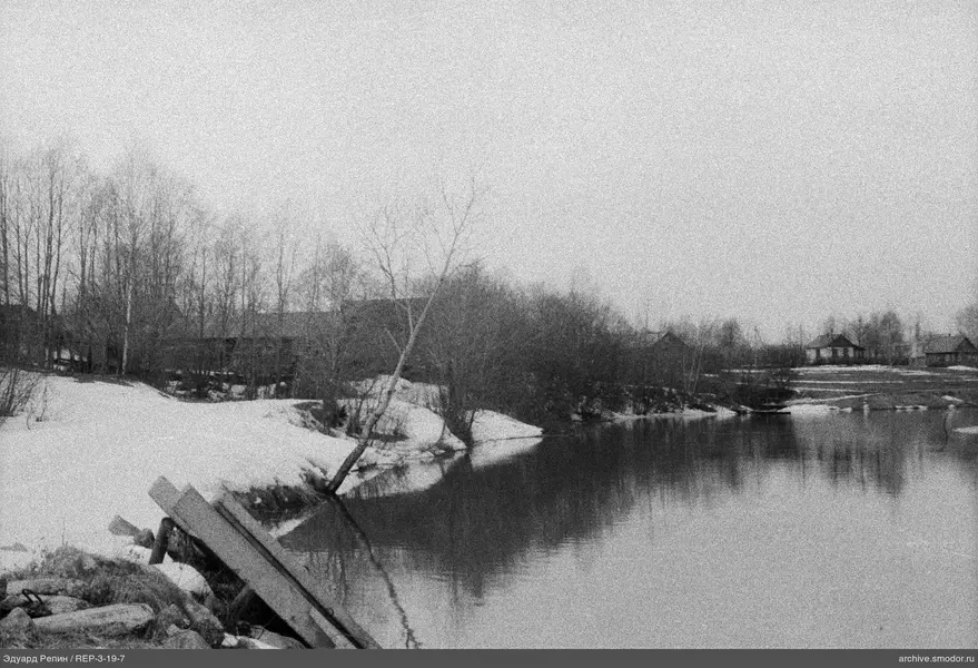 Fluss mit Bäumen und Häusern