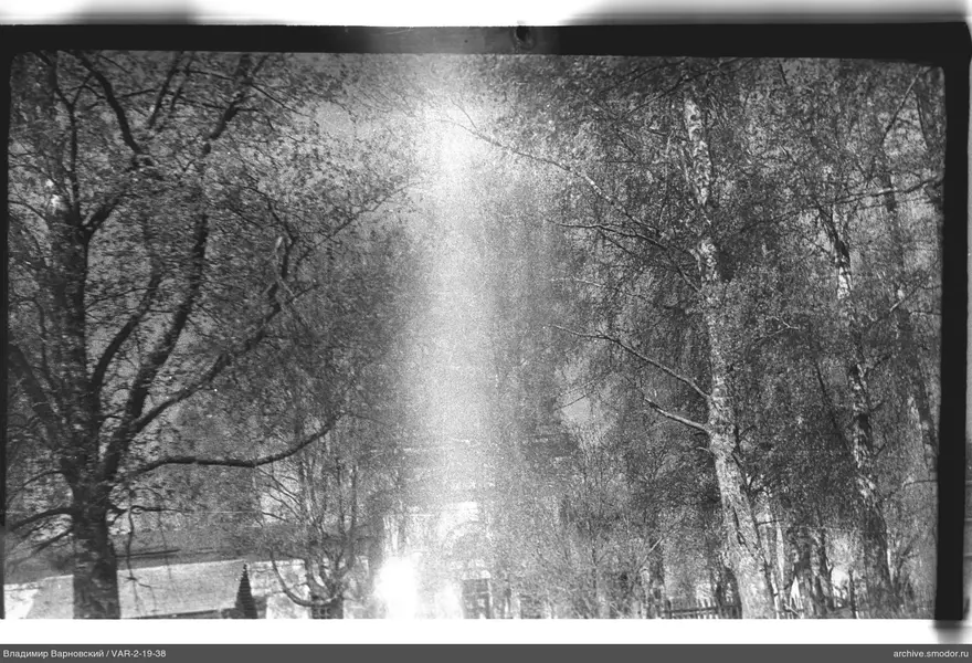 Alley with trees and building in background