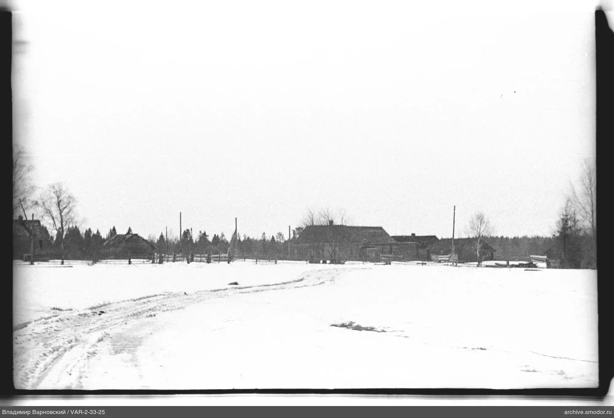 Schneebedecktes Feld mit Spuren und Bäumen