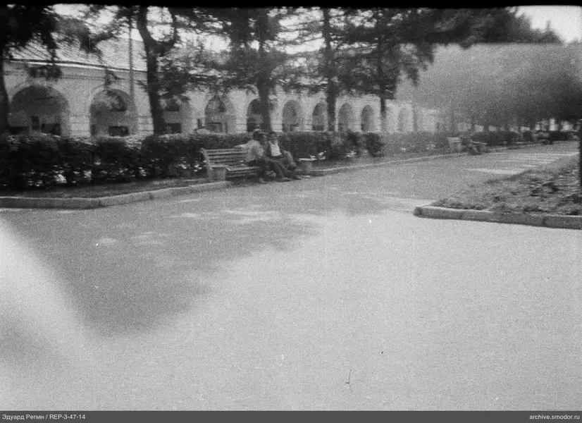 Allee mit Bänken und Bäumen