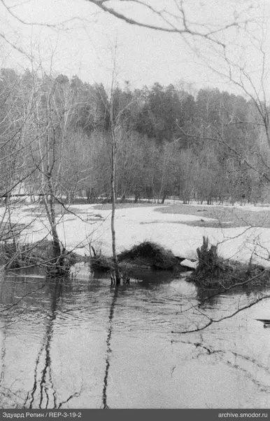 Flusslandschaft mit Baumreflexionen