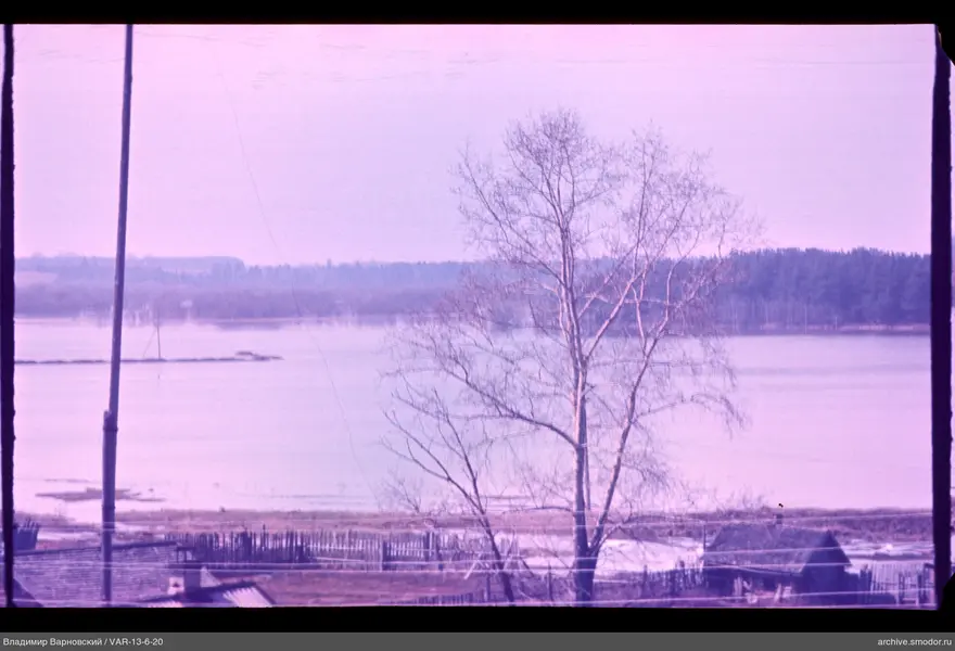 View of water and forest line