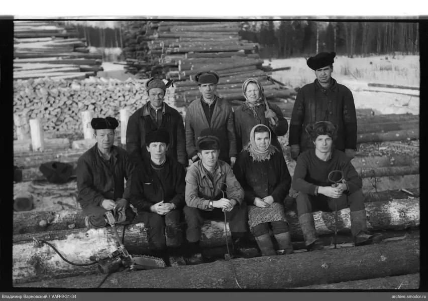 Gruppe vor Holzstapeln
