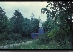 VAR-13-31-5