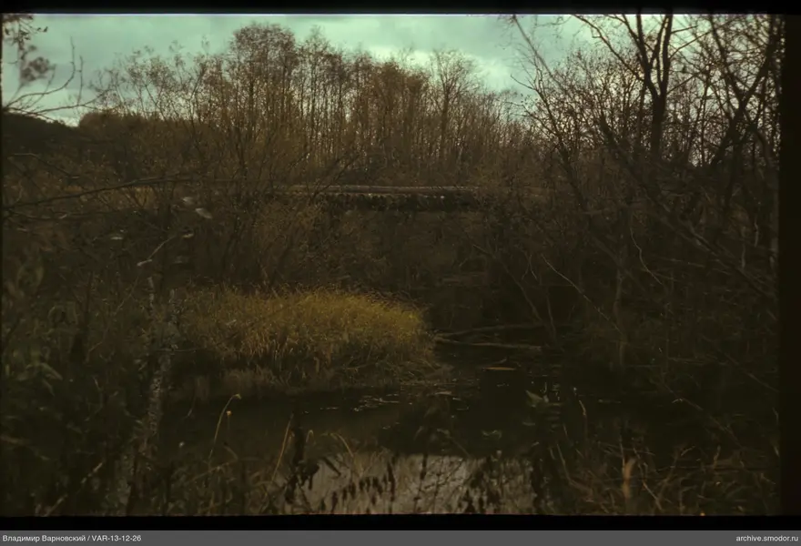 River scene with bridge and trees
