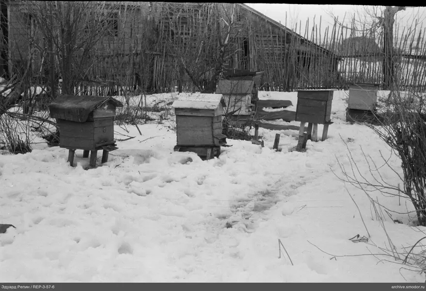 Fünf hölzerne Bienenstöcke im Schnee