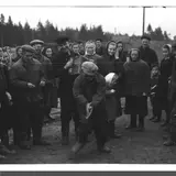 VAR-1-1-7