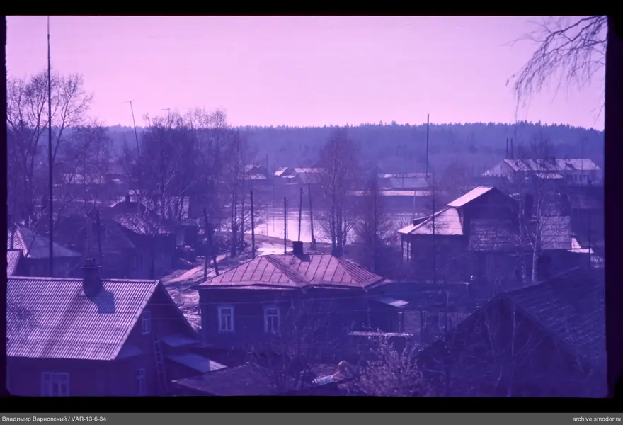 Wooden houses among trees and river