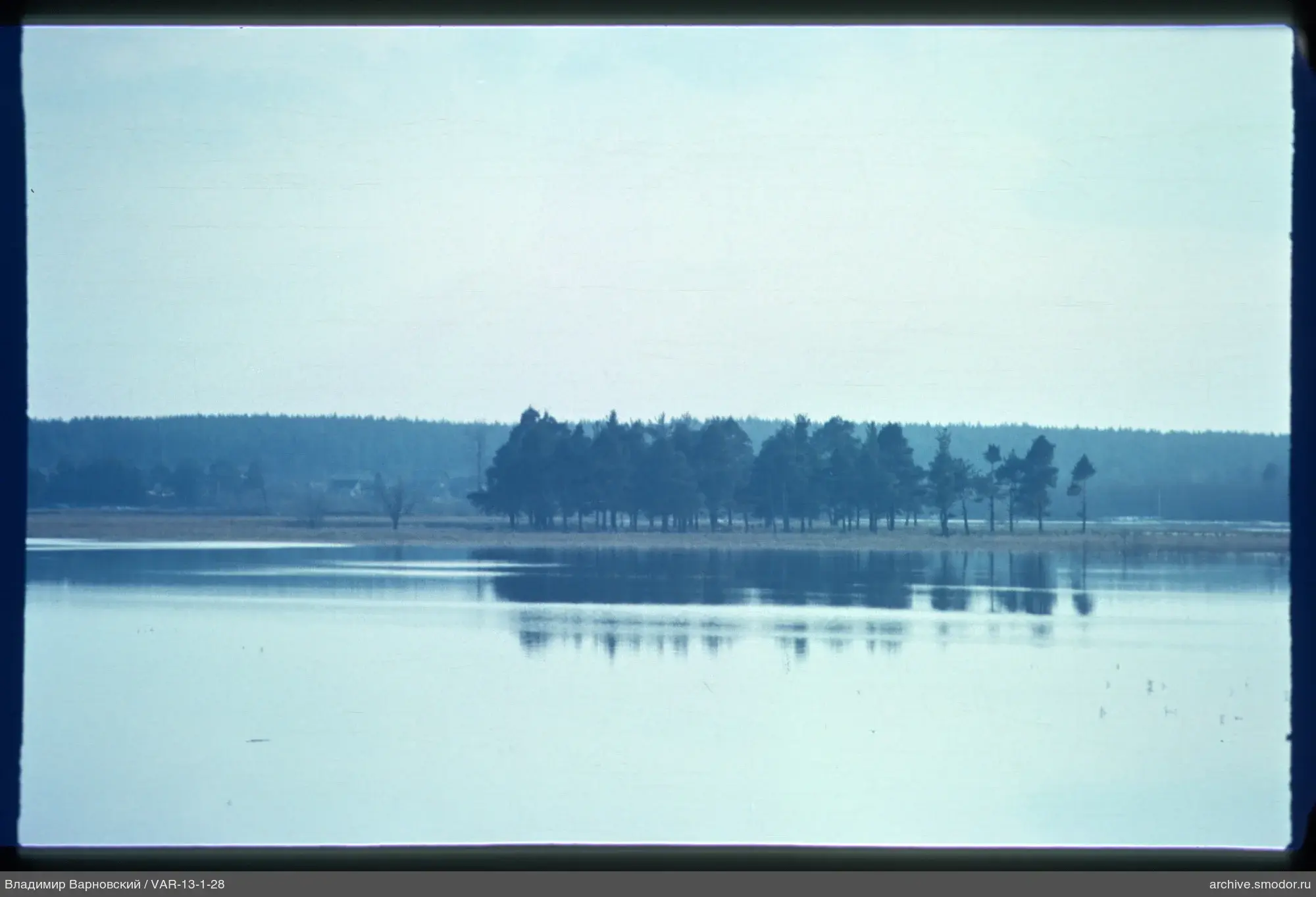 Water surface with tree reflection