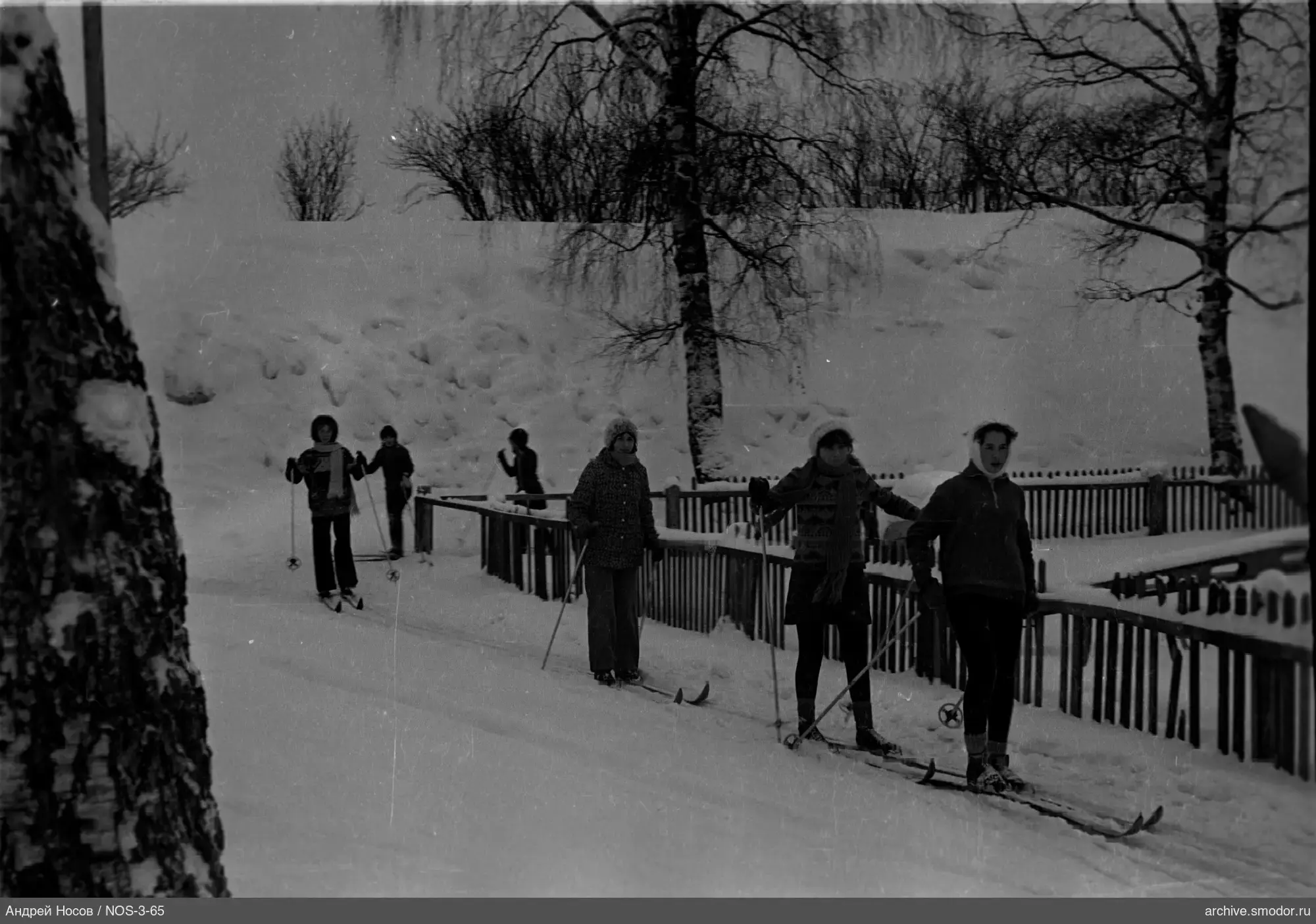 Пять человек на лыжах на заснеженной тропе