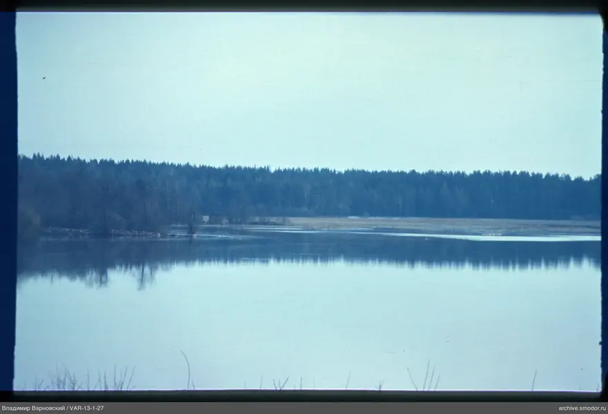 View of water and forest