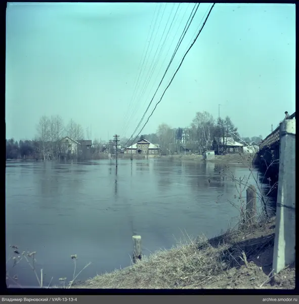 River with flooded trees and bridge