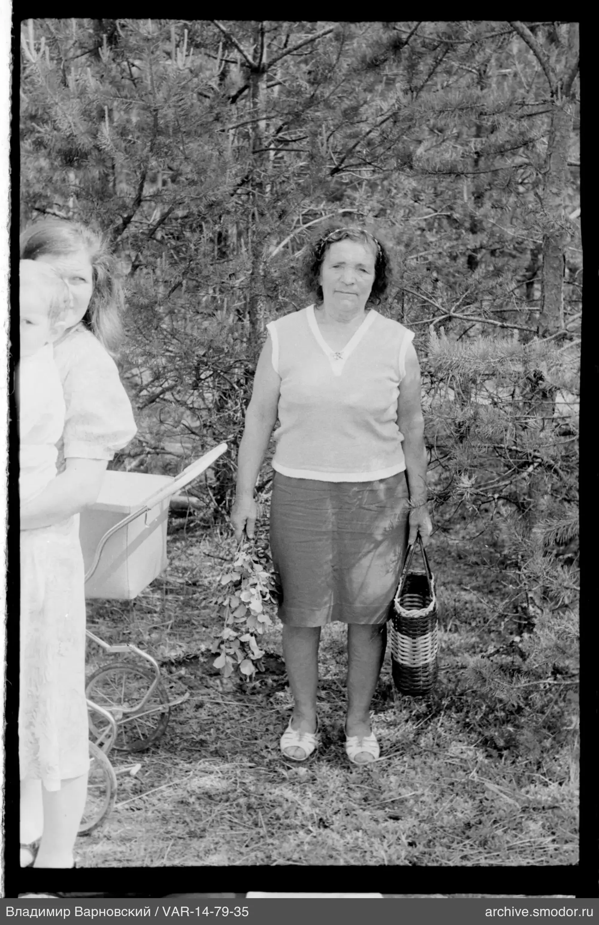Woman with branch and basket among conifers