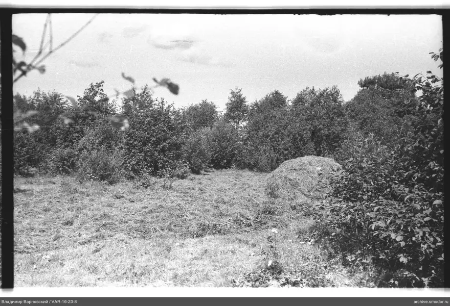 Landschaft mit Feld und Heuhaufen