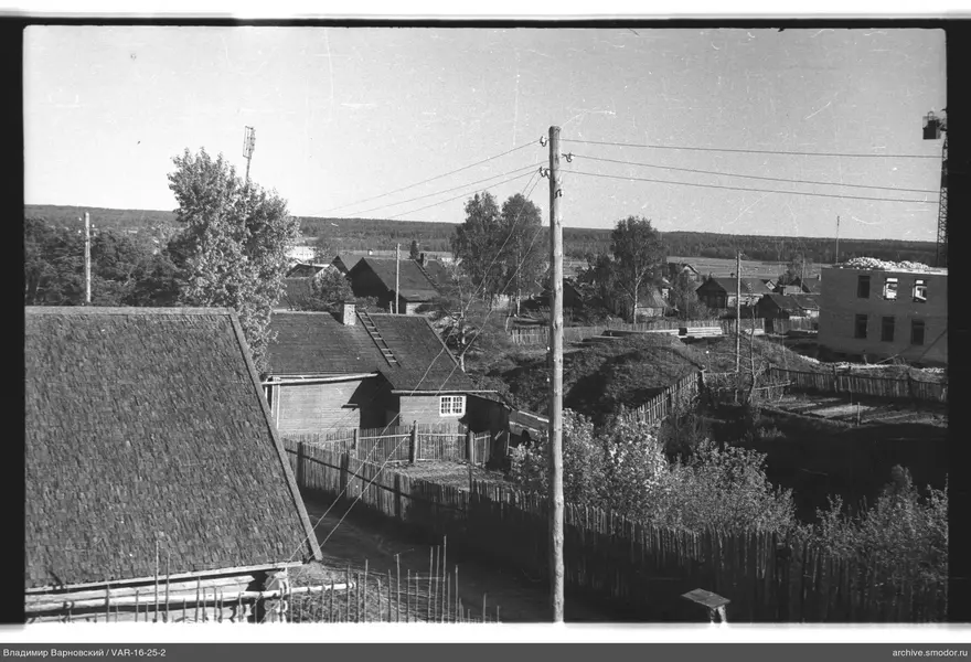 Деревенская застройка и лес