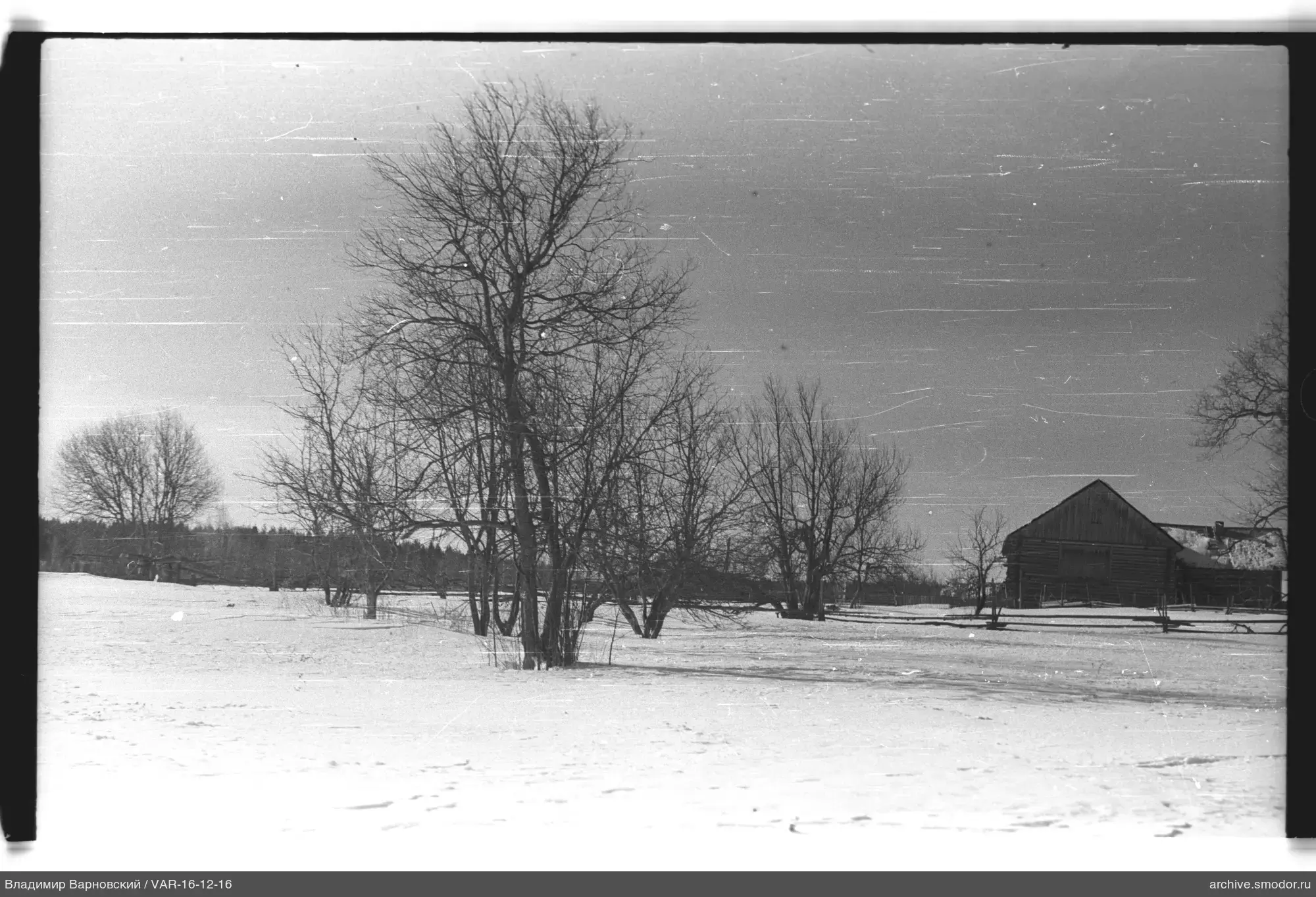 Schneebedecktes Feld mit Bäumen und Gebäude