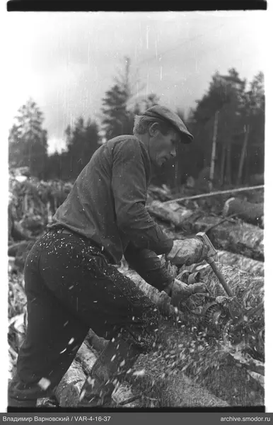 Man sawing a log