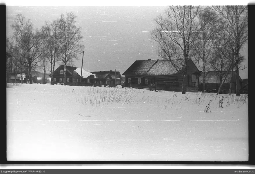 Schneebedeckte Häuser und Bäume