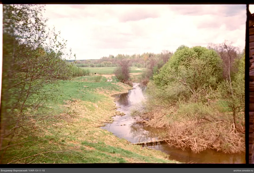 River with wooden structure and green trees