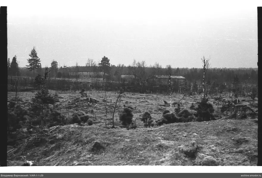 Rural Landscape