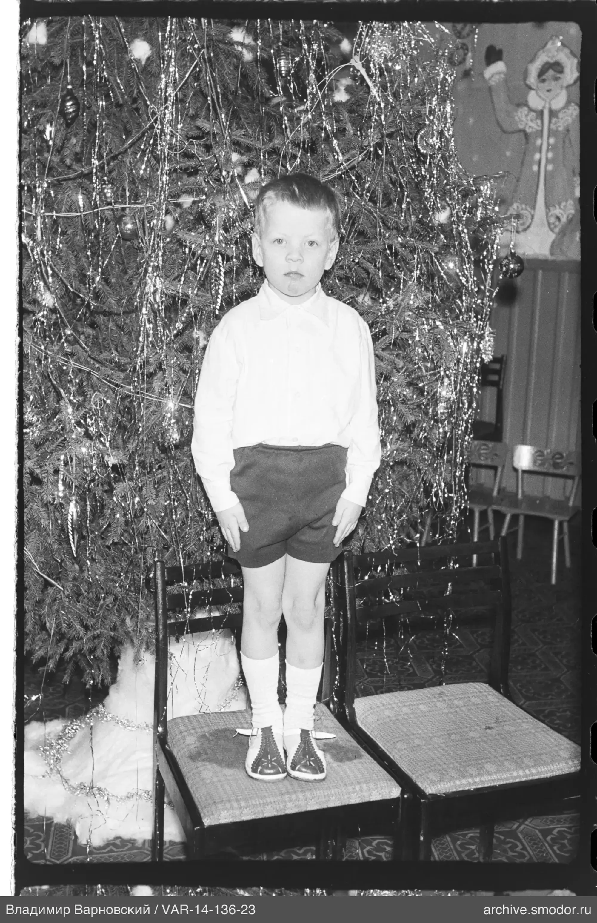 Portrait of a boy with Christmas tree
