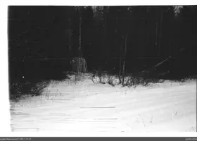 VAR-1-13-13