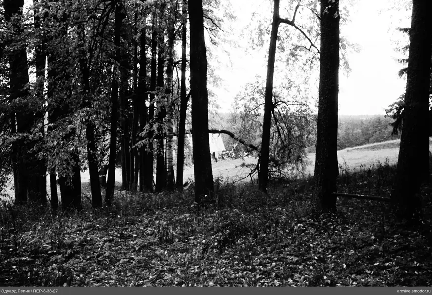 Wald und Holzhaus