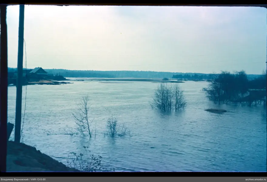 Breiter Fluss mit Ufern und Bäumen
