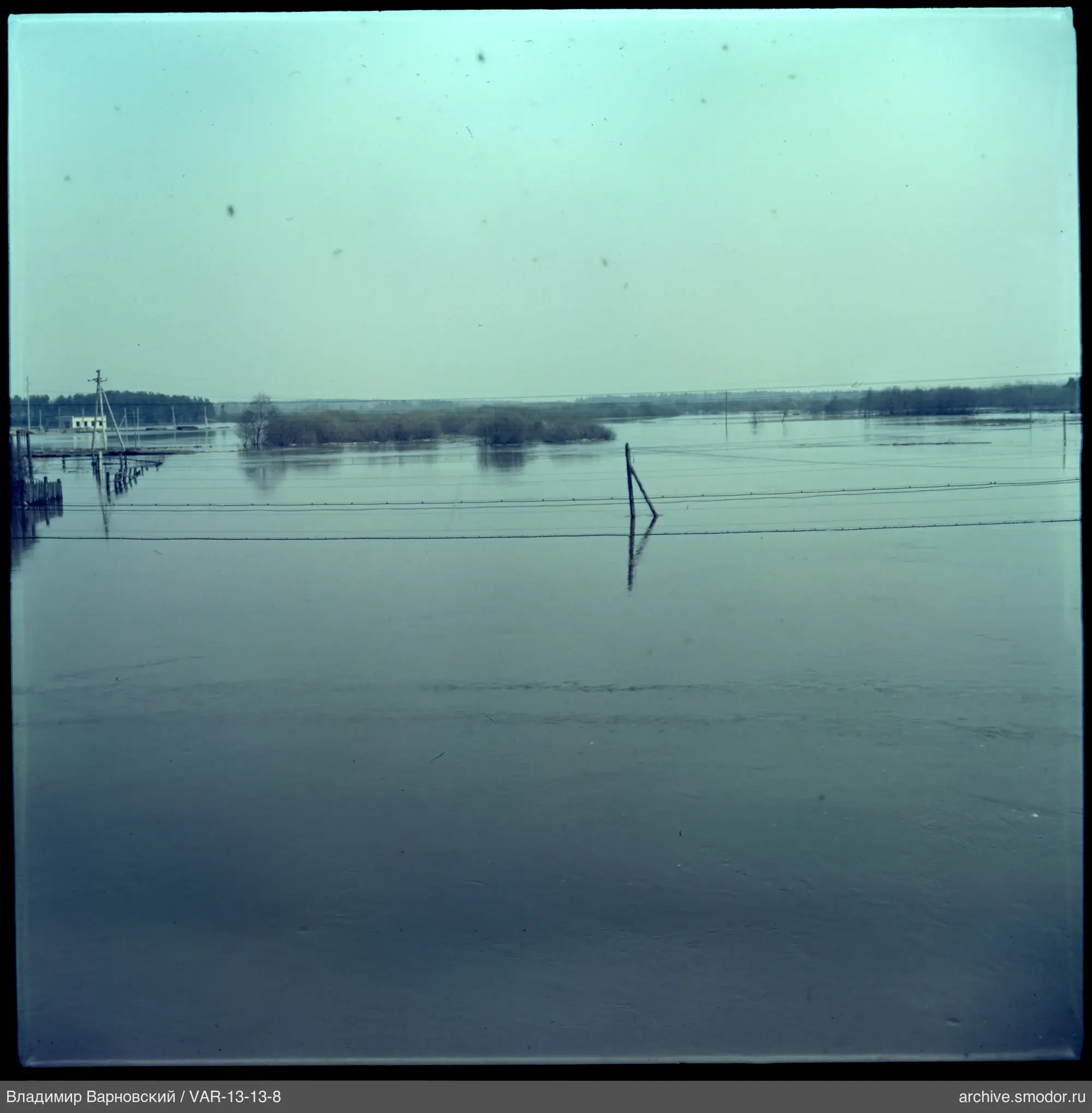 Flooded area with trees and fences