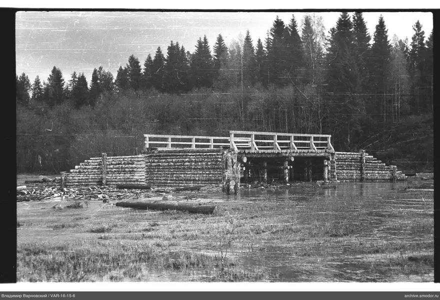 Holzdamm und Wald